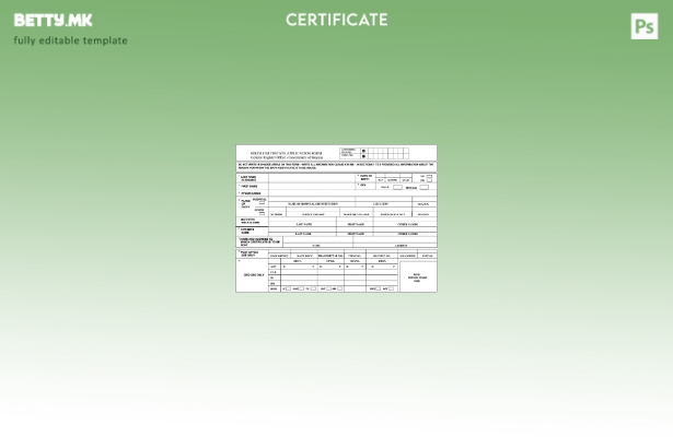 модерен стил Шаблон на извод од матичната книга на родените на Владата на Јужна 